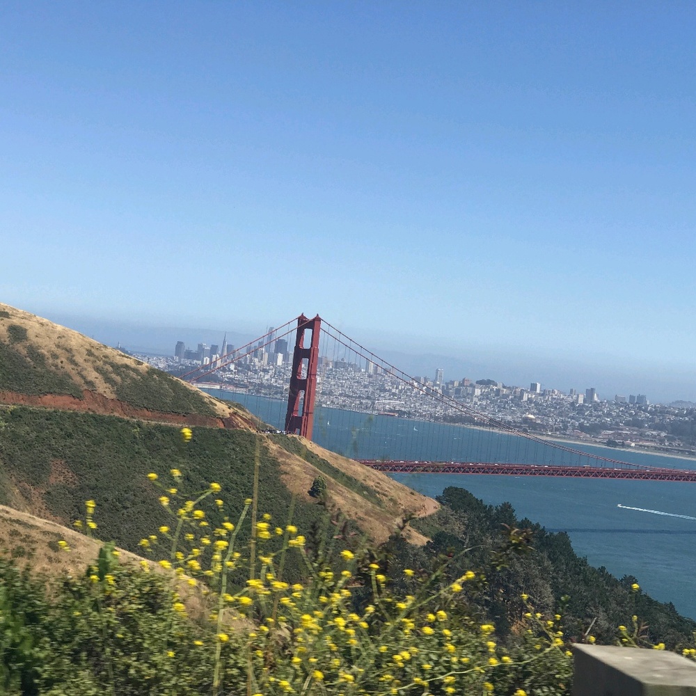 Meet your Posher, Daniela